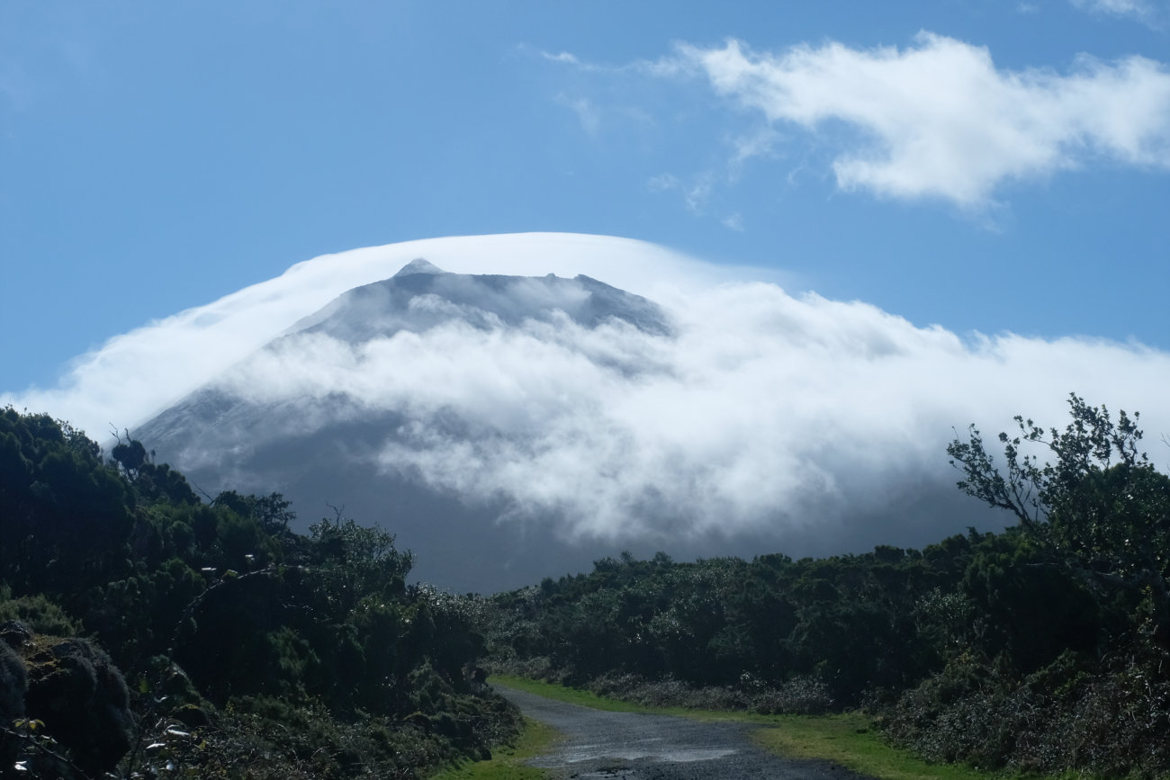 Pico mit Dunstglocke