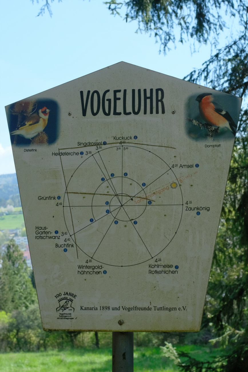 Vogeluhr