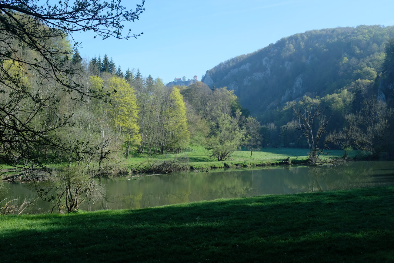 Donau mit Schloß Bronnen