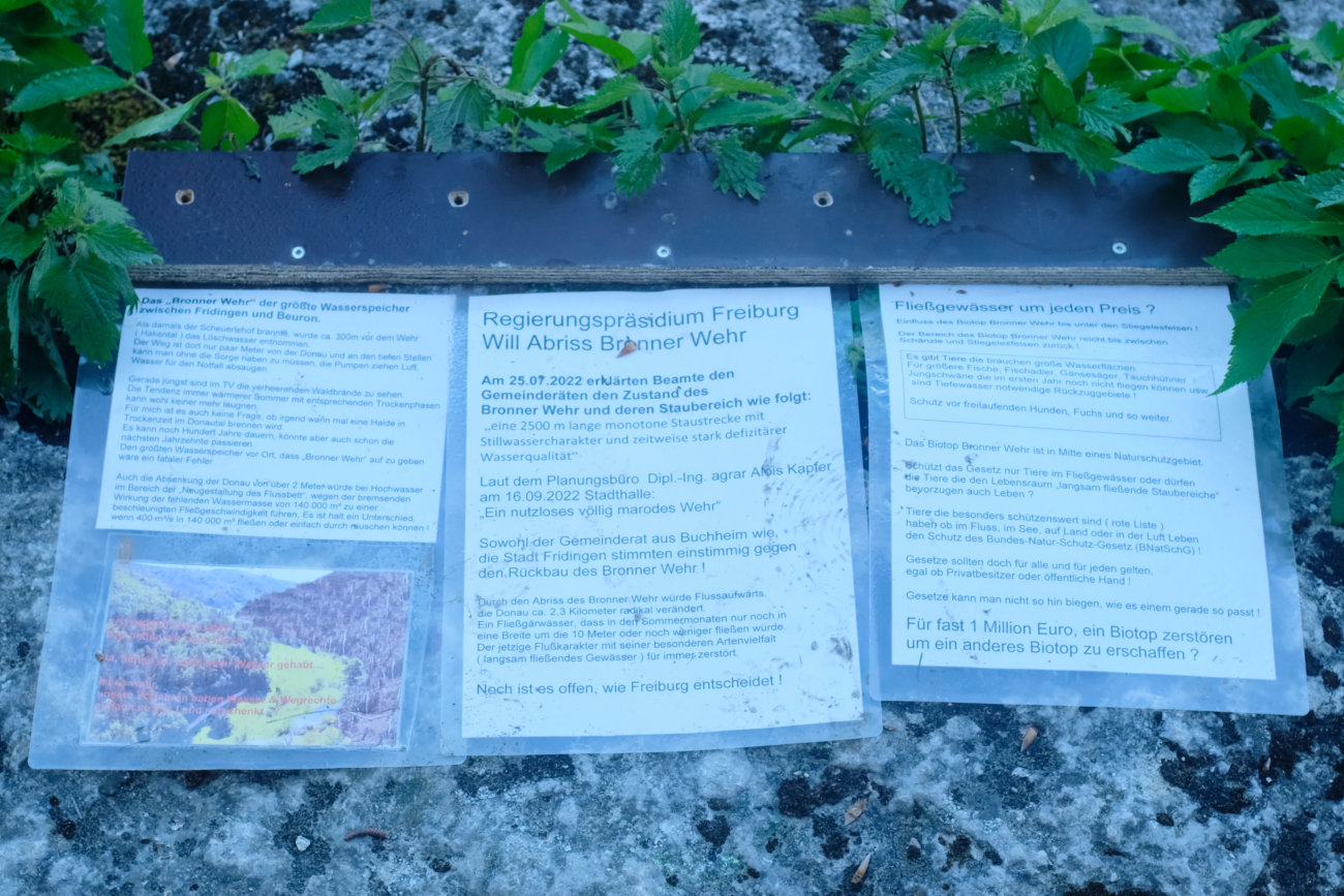 Argumentation Bronner Wehr