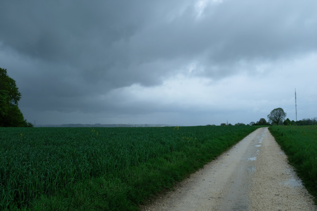 Münster am Horizont