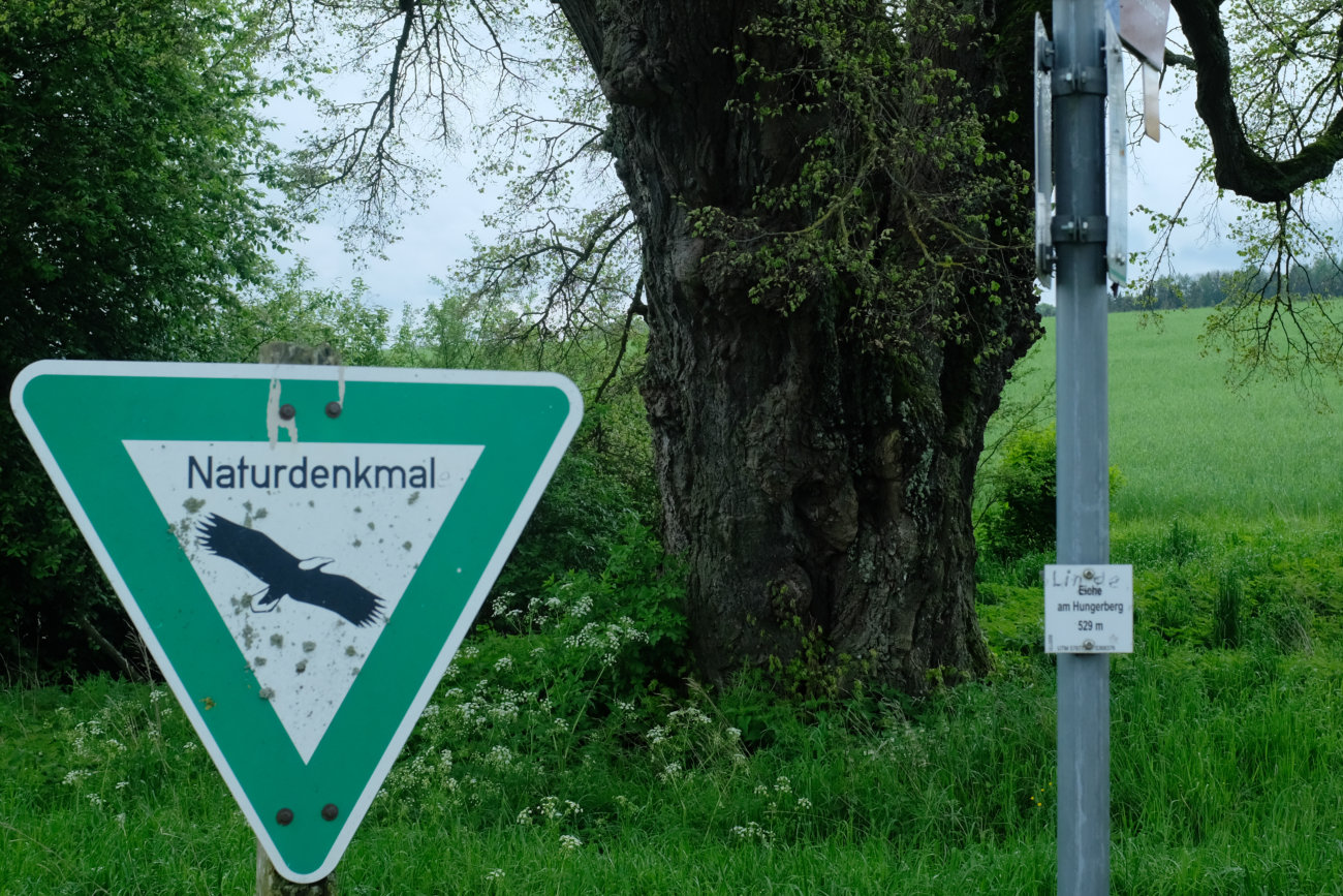 Baum-Schild