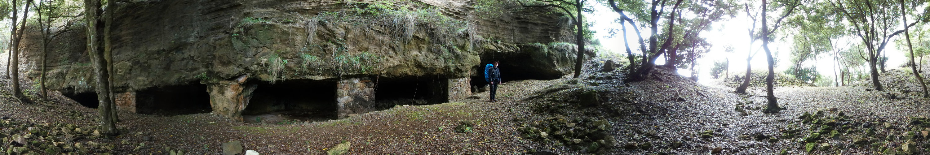 Panorama in Druck-Ausgabe