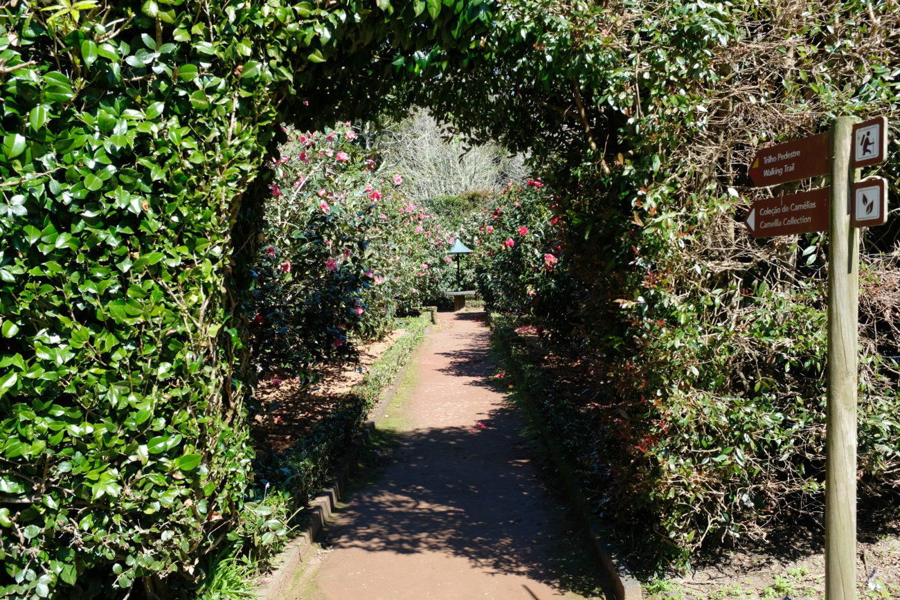 Durchgang zu den Kamelien