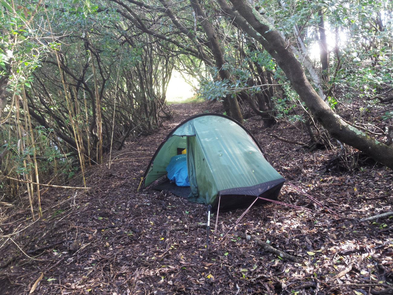 Zelt im Wald