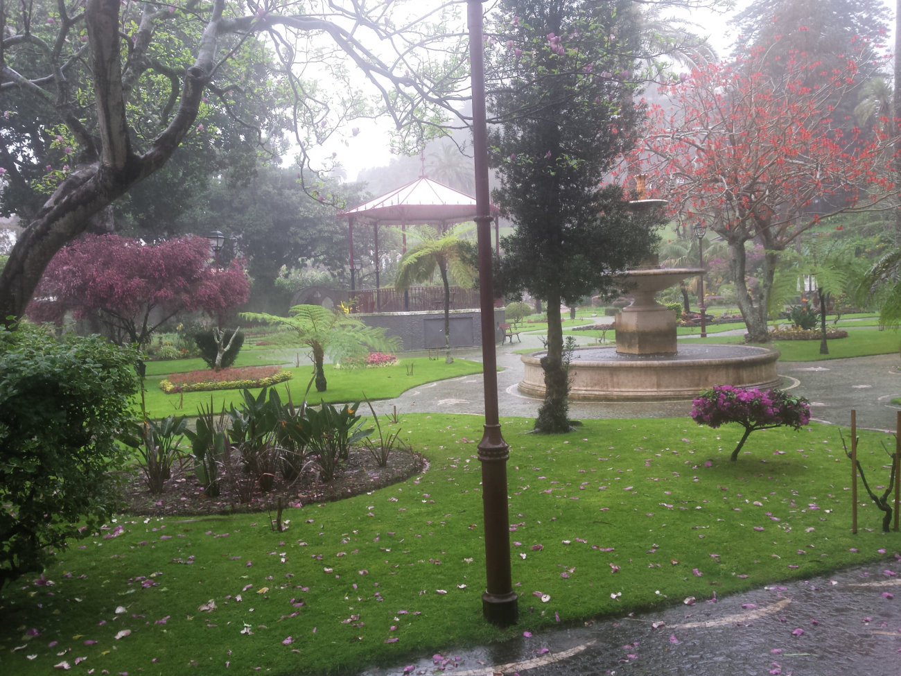 Blick vom Frühstücksraum