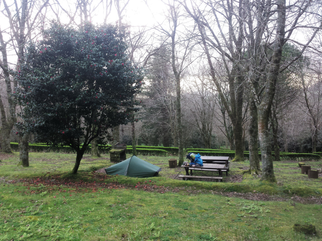 Zelt in Erholungsgebiet