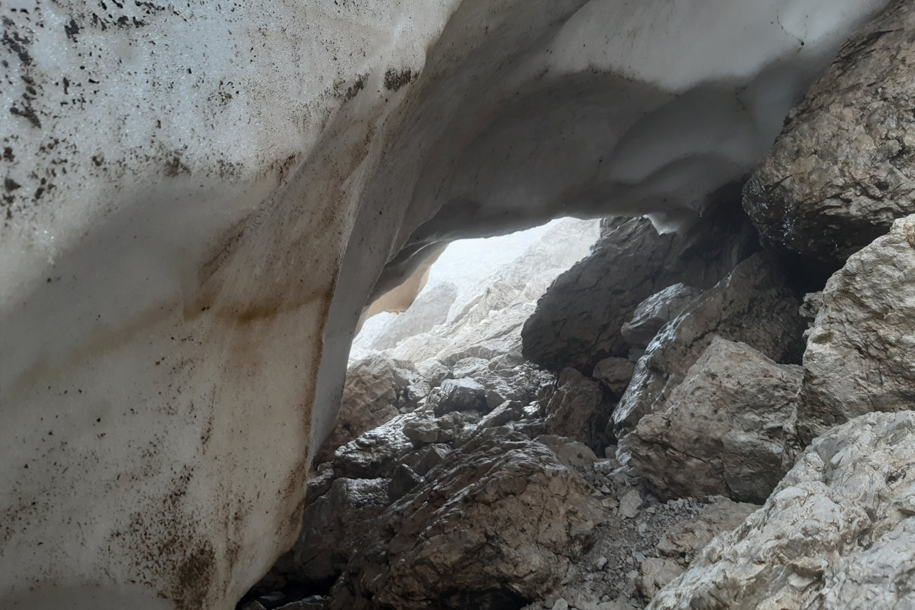 Schneefeld-Krabbelstelle