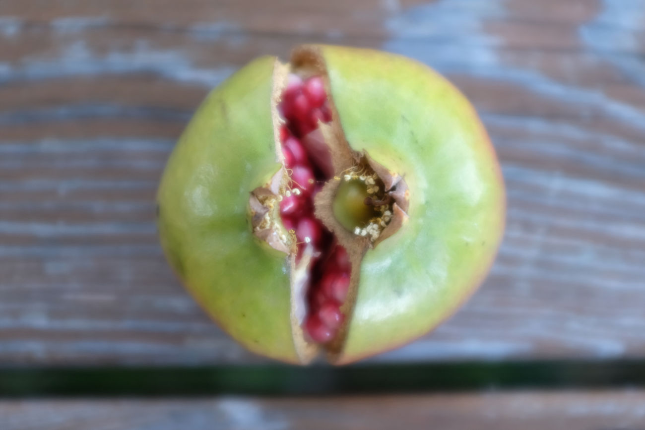 Granatapfel