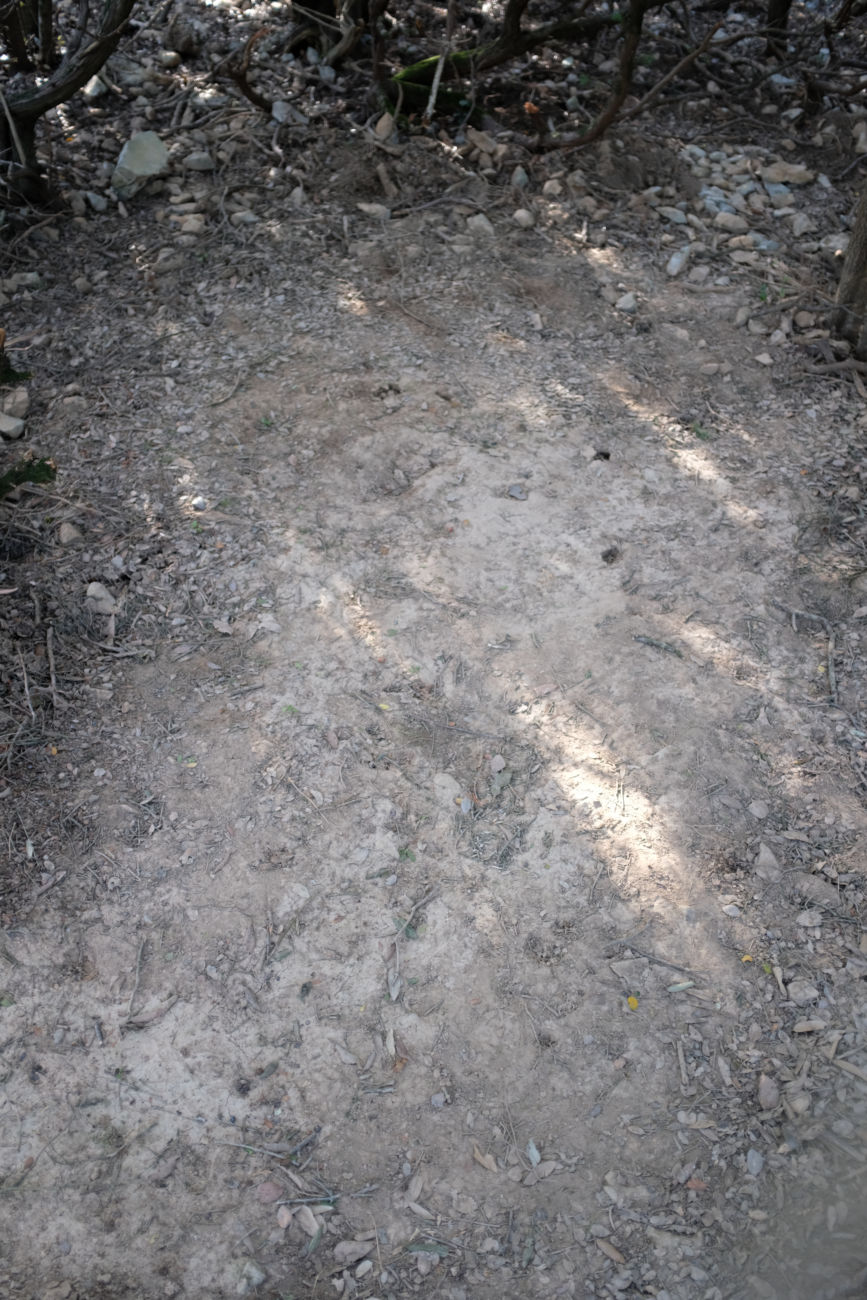 Zeltstelle hinterher