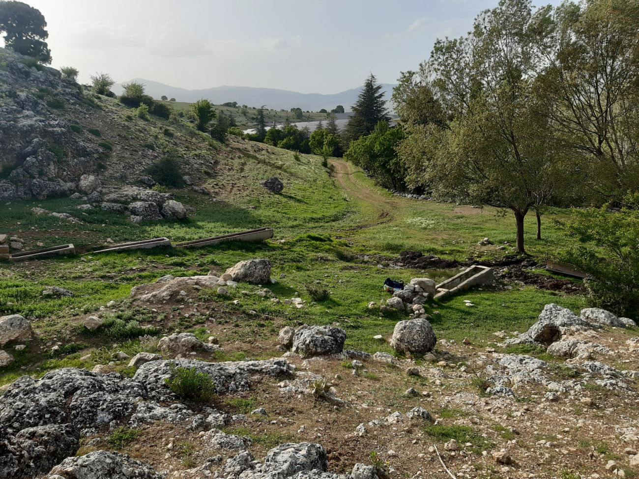 Wasserstellen am Solarpark