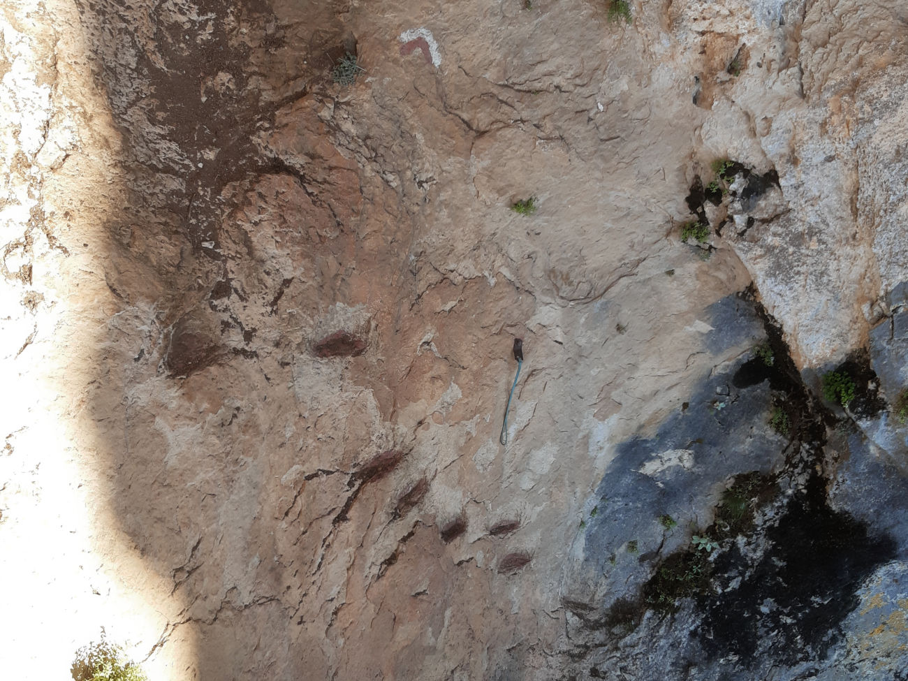 Sicherungsschlinge und Trittfolge