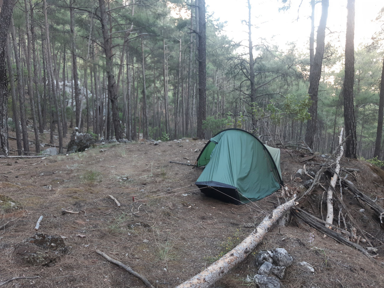Zelt im Wald, abends