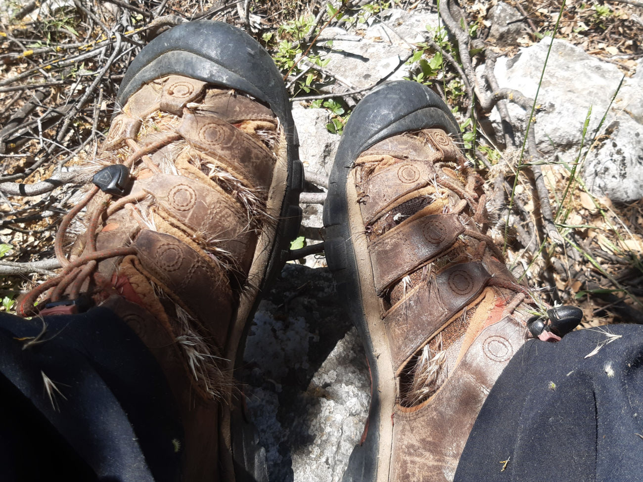 Stacheln in Sandalen