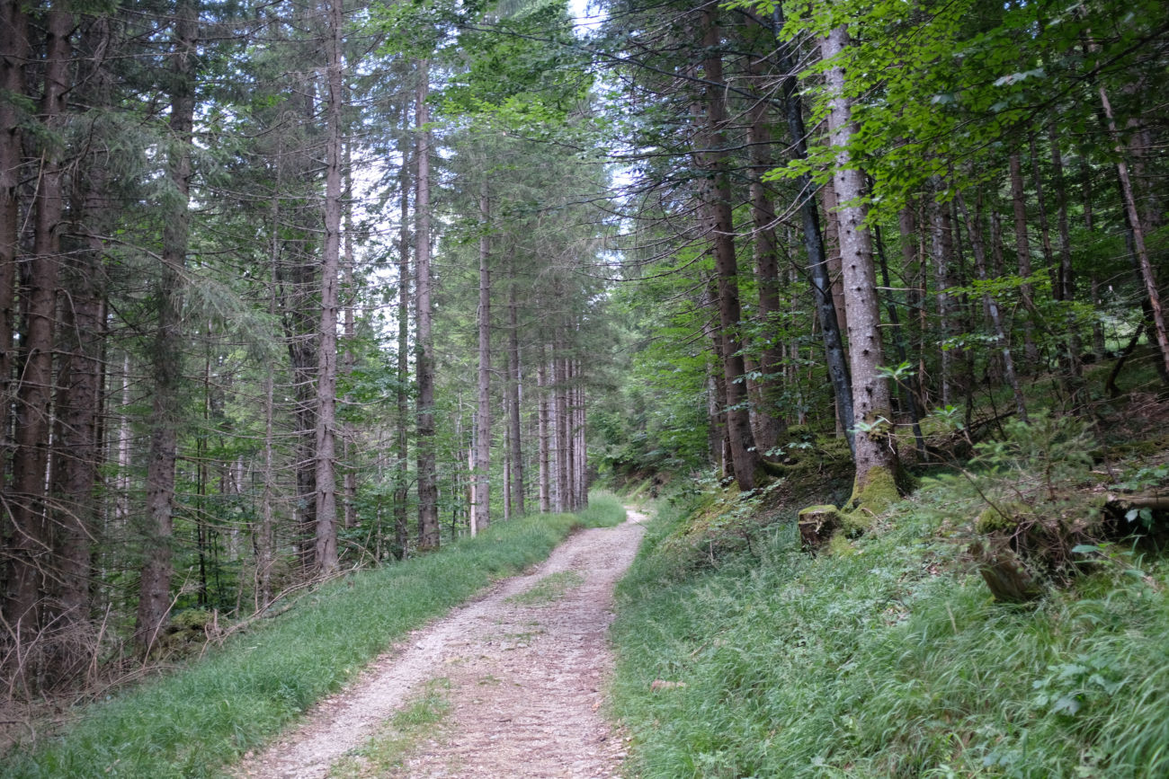 Forstweg
