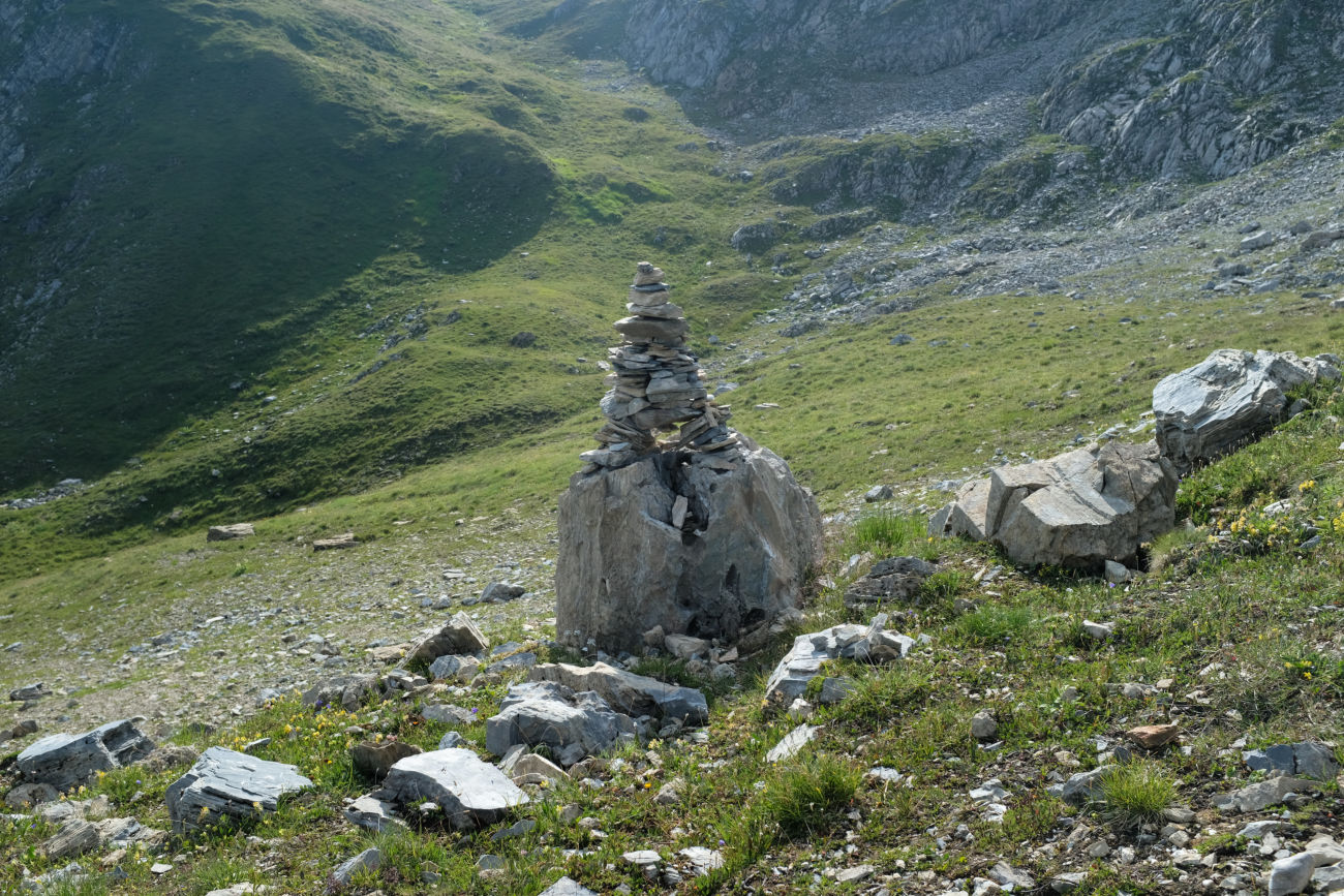 breitbeiniges Steinm&auml;nnchen