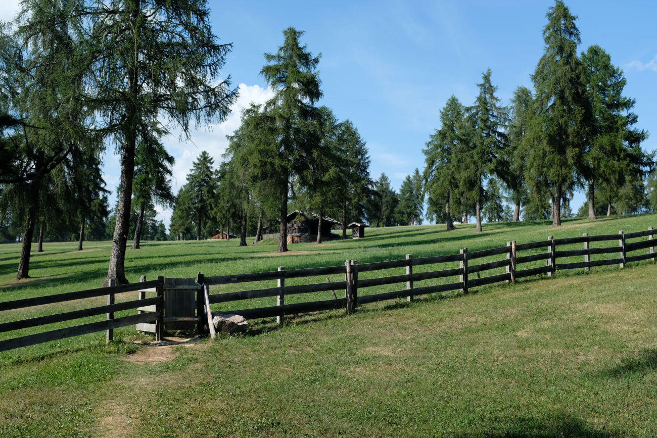 H&uuml;tte im Wald