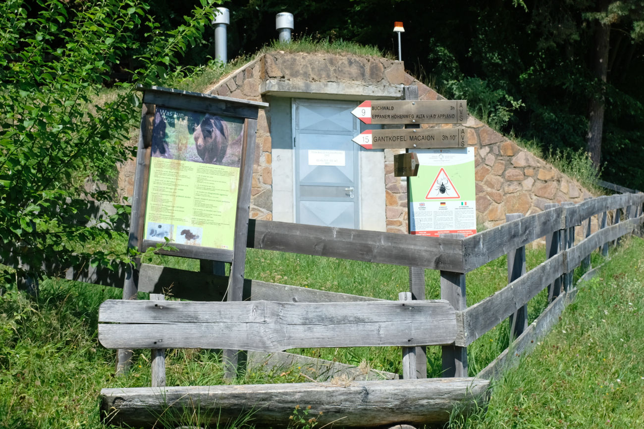 Zecken und B&auml;ren